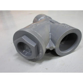 Hayward YS10200S 2" PVC Y-Strainer