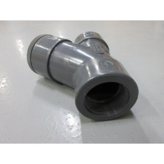 Hayward YS10200T 2" PVC Y-Strainer