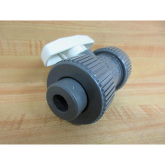 Hayward TB10025S Ball Valve