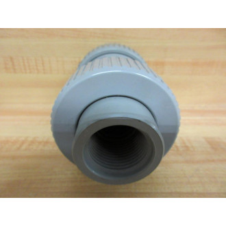 Hayward TC20100T Check Valve 1"