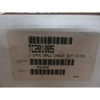 Hayward TC20100S Ball Check Valve 1"