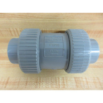 Hayward TC20100S Ball Check Valve 1"