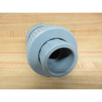 Hayward TC20100S Ball Check Valve 1"