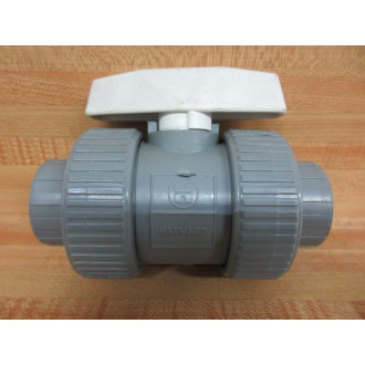 Hayward TB20100STE Valve TB20100STE 1"