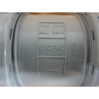 Hayward TC20200S Ball Check Valve 2"