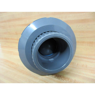 Chemtrol 1RLK6 Check Valve U51BC V 2"