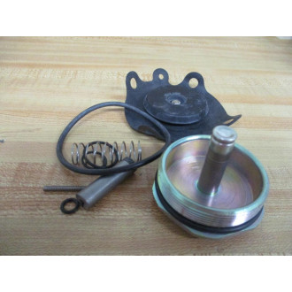 AscoRed Hat 302297 Repair Kit