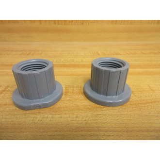 Hayward TC20050ST Ball Check Valve