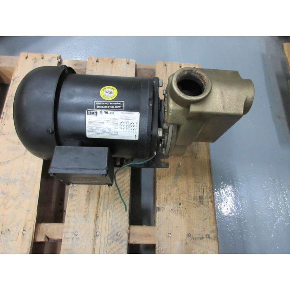 WEG 020869071 Motor 1UTE1CGNXJ1.502E - Used