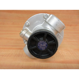 Watts Fluid Power 119-6G Pneumatic Regulator 1196G - New No Box