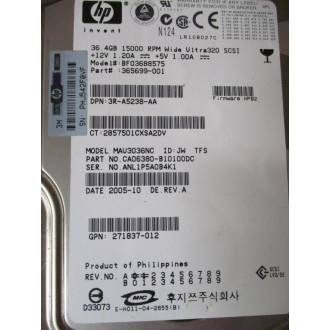 HP 365699-001 Hard Drive 36.4GB BF03688575 - Used
