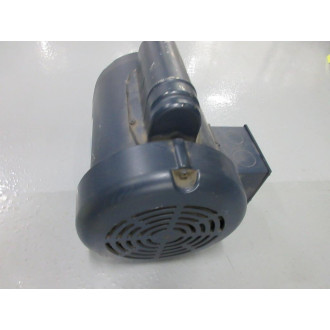 Leeson C6C17FB17J Rexnord Motor 110209.00 - Used