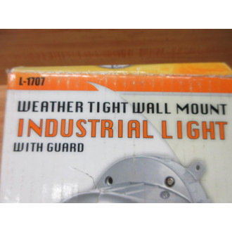 The Design Edge L-1707 Industrial Light Fixture L1707 WOut Mounting Box