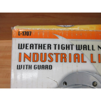 The Design Edge L-1707 Industrial Light Fixture L1707