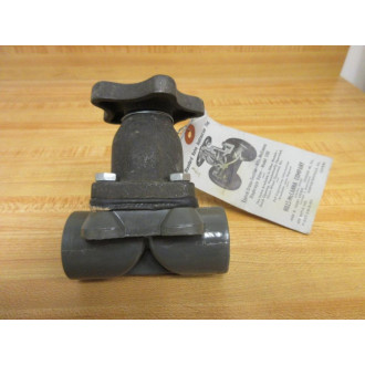 Hills-McCanna 510 R2 Diaphragm Valve F-567-5M-6-60