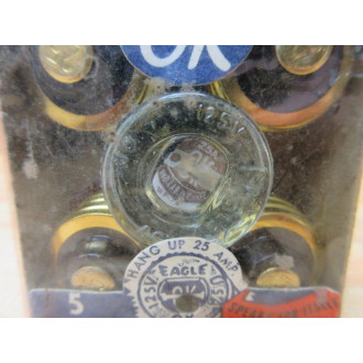 Eagle 690-25 Glass Plug Fuse 25A-125VAC (Pack of 5)
