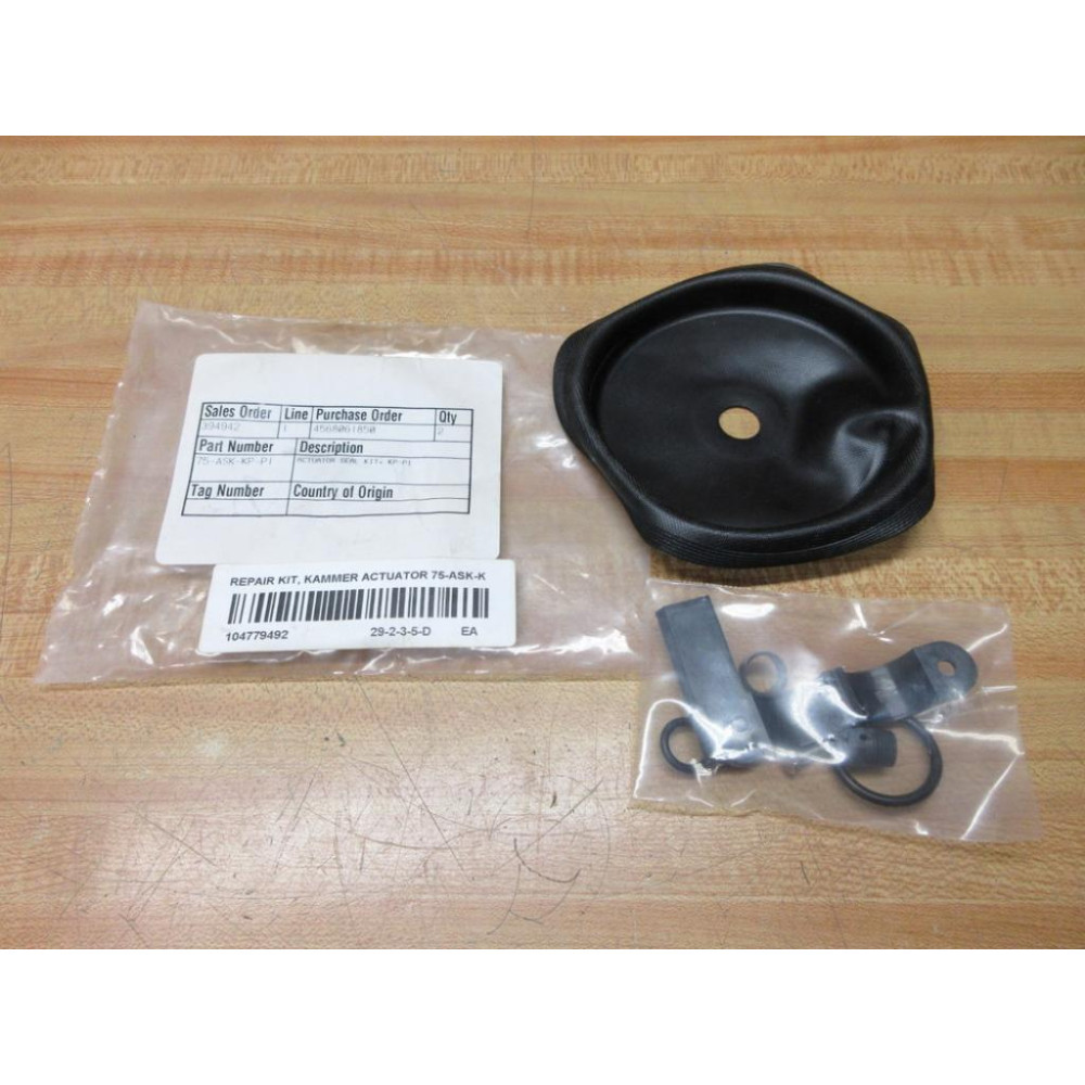 75-ASK-KP-P1 Actuator Seal Kit 75-ASK-K
