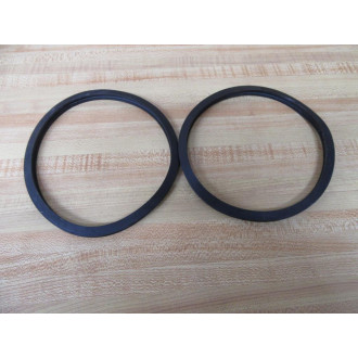 Falk 0777237 Steelflex Seal Kit 1100T10