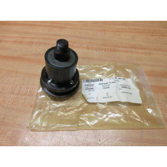 348830-100 Short Gringer