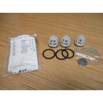 Cat Pumps 31360 Valve Kit