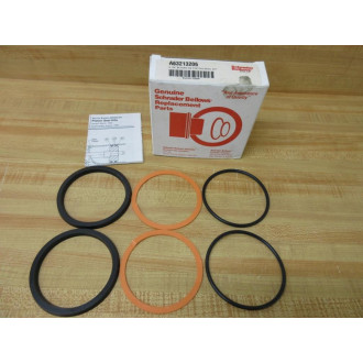 Schrader Bellows A63213206 Piston Seal Kit