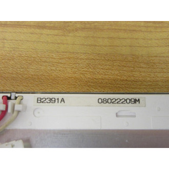 B2391A Display - Used