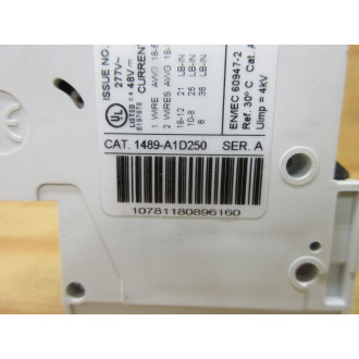Allen Bradley 1489-A1D250 Mini Circuit Breaker 1489A1D250 - New No Box