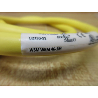 Turck WSM WKM 46-1M Double Ended Cordset WSMWKM461M