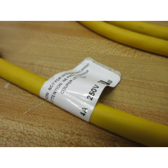 Lumberg Automation RKT 3 U-6196F Single Ended Cordset RKT3U6196F - New No Box