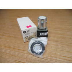 Allen Bradley 800T-PA16WD1 Illuminated Push Button Ser. T