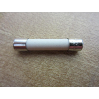 Shawmut GAB1 Gould Fast Acting Fuse 1A 250V 3AB1A (Pack of 5)