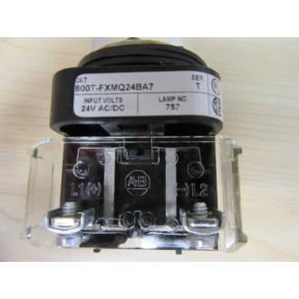 Allen Bradley 800T-FXMQ24BA7 Push Pull Switch