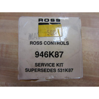 Ross 946K87 Service Kit Low Temp 531K87