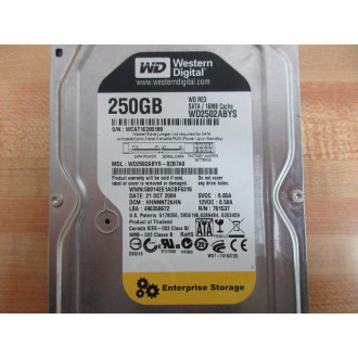 Western Digital WD2502ABYS-02B740 Hard Drive WD2502ABYS02B740 - Used