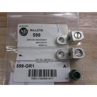 Allen Bradley 599-GR1 Ground Kit 599GR1 (Pack of 2)