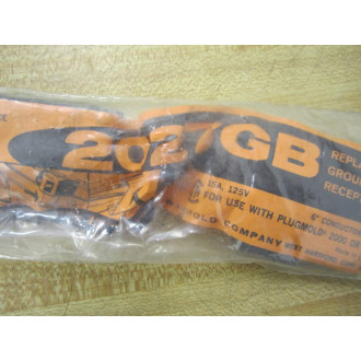 Wiremold 2027GB Grounding Receptacle (Pack of 2)