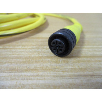 Brad Connectivity 884030K05M030 Molex Micro-Change Cordset 1200660690