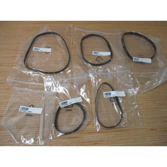 Zebra 57603M Replacement Belt Kit For 110PAX4