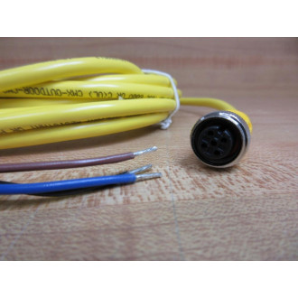 Turck RKC 4T-6 Cable Cord RKC4T6