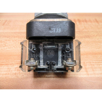 Allen Bradley 800T-Q10R Pilot Light 800TQ10R Series T - Used