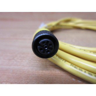 Molex Woodhead 884030K05M050 Brad Connectivity Cord Set 1200660692