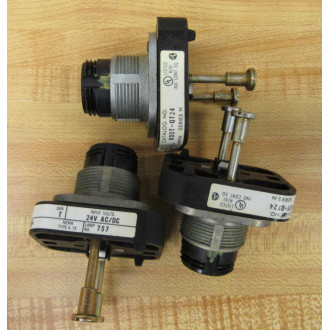 Allen Bradley 800T-QT24 Pilot Light (Pack of 3) - Used