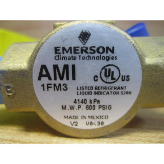 Emerson AMI 1FM3 Moisture Liquid Indicator AMI1FM3