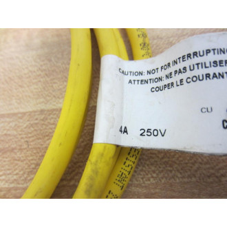 Lumberg RKT 4-6022M Cable 250V 4A - Used