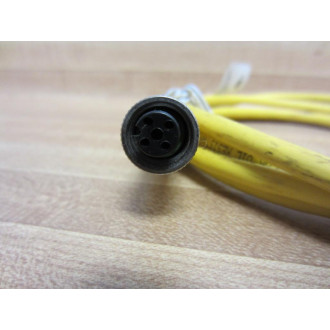 Lumberg RKT 4-6022M Cable 250V 4A - Used