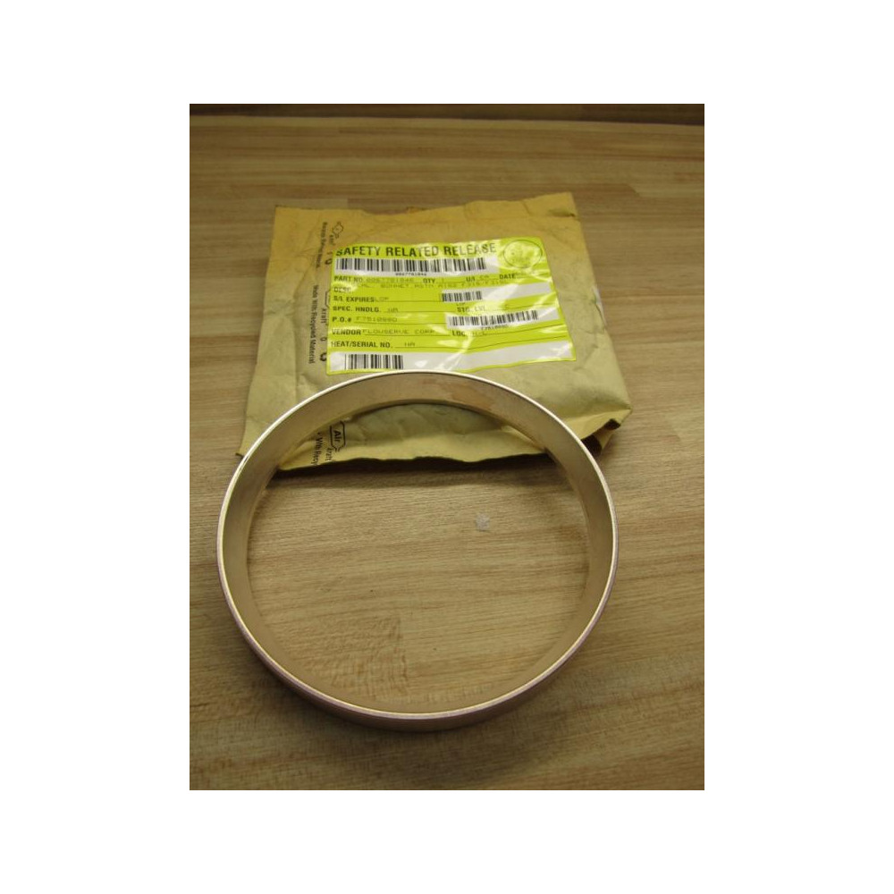 Flowserve 0067781846 Gasket Seal Kit