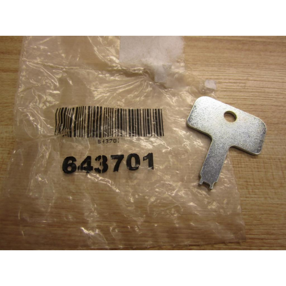 643701 Key