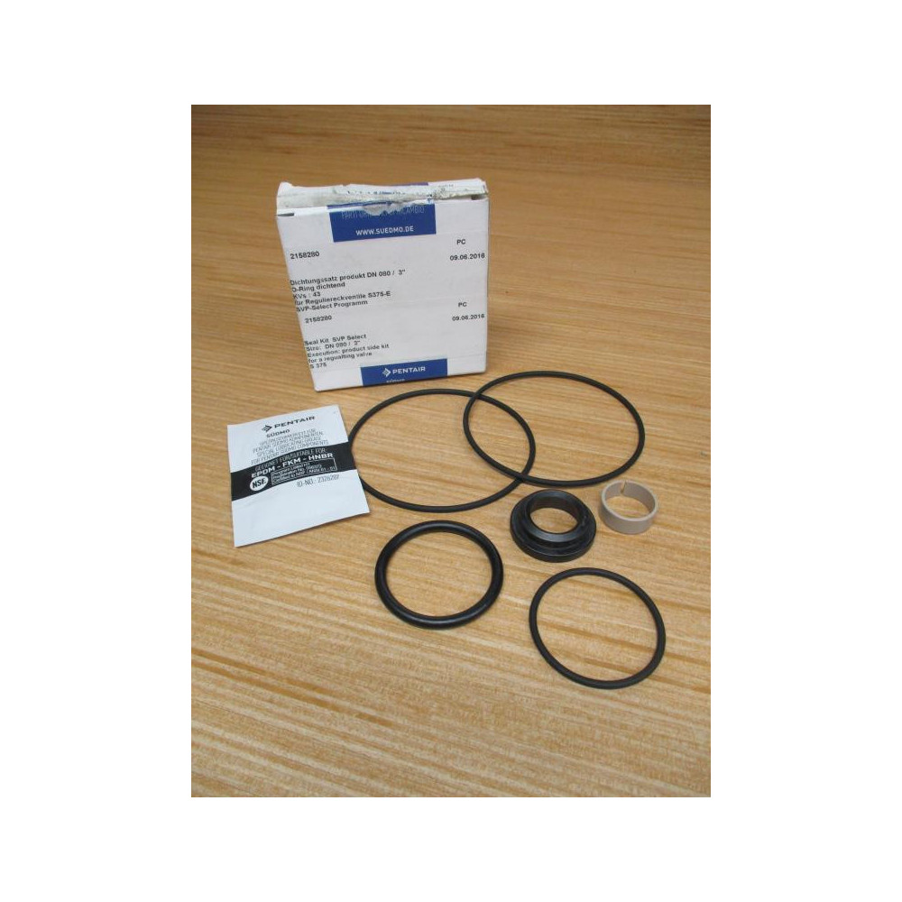 Pentair 2158280 Suedmo Seal Kit