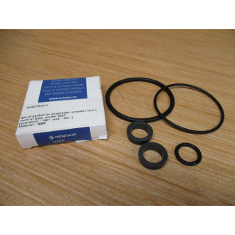 Pentair SUE2703021 Gasket Seal Kit WO Pin