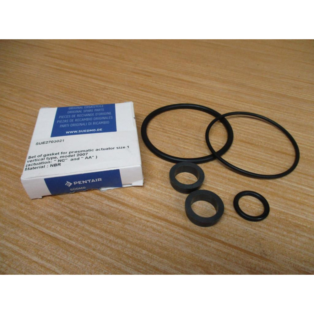 Pentair SUE2703021 Gasket Seal Kit WO Pin
